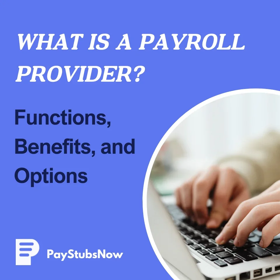 What Is a Payroll Provider? Functions, Benefits, and Options